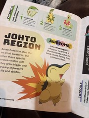 DK Pokémon Big Book of Facts by Simon Beecroft 2025 Hardcover Illustrated Guide