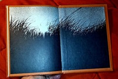 To See a World in a Grain of Sand by Caesar Johnson, 1972, 61 pages, Hardcover