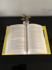 Unreasonable Hospitality Will Guidara Optimism Press 2022 First Ed/6th Pr. HC VG