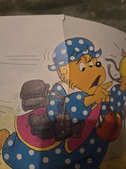 The Berenstain Bears 17 Book Lot Total Huge Lot Bundle
