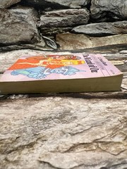 Vintage The Wizard of Oz – L. Frank Baum – Moby Books Illustrated 1977 Mini Book