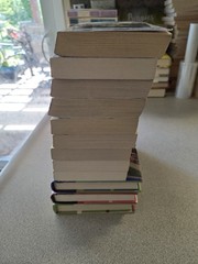 Jenn McKinlay Lot Of 12 Books. 10 Library Lovers Mysteries And 2 Bluff Romance