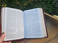OOP HCSB Pocket-Size Bible Burgundy Bonded Leather with original box & magnifier