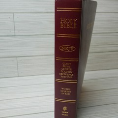 Holy Bible Thomas Nelson New King James Version Words of Christ in Red 1994 READ