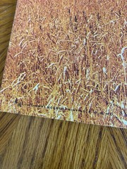 Historical Album of Kansas Book Booklet Photos History Vintage Native Americans