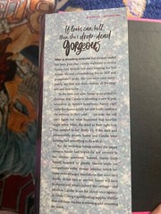 Y/A, Sapphic, Book, Mystery, Roaring Brook Press