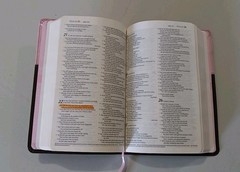 Rare „Holy Bible Gift & Award Edition” New Living Translation Softcover Pink