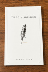 Theo of Golden Paperback by Allen Levi New book
