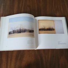 The Paintings of Sylvia Plimack Mangold: 1965-1982 Thomas H. Garver