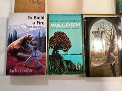 Vintage Paperback Lot of 21 Variety of Famous Authors Classics Fiction