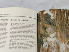 Fossils , Unknown Companions , text by Enrico Annoscia HC/DJ/1981/English