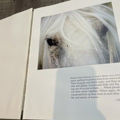 Such Is the Real Nature of Horses by Robert Vavra (1998, Hardcover/Dust Jacket)