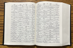 Veteris Testamenti Concordantiae Hebraicae Atque Chaldaicae Solomon Mandelkern