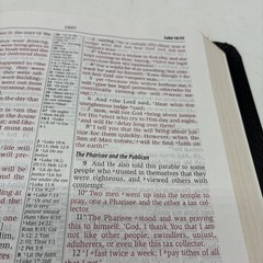 1999 Zondervan NASB STUDY BIBLE Black Bonded Leather D Red Letter USA