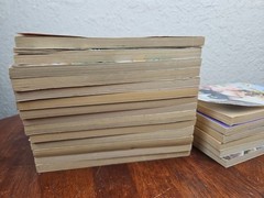 Animal Ark Book Lot 24 Paperbacks Ben M Baglio Pets 1 Hardback With 22 Stories