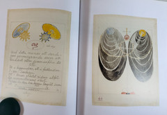 Hilma af Klint, The Blue Book, Almquist, 2020, E-119