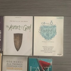 Mega Christian Book Lot of 12 Bible Study Devotional Louie Giglio Shirer Elliot
