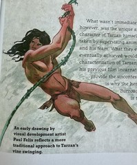 DISNEY’S TARZAN (special Collector’s Edition) 1990 FIRST EDITION , FIRST PRINT