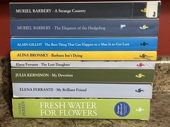 8 Book Lot Europa Editions Elena Ferrante Barbery Bronsky Perrin Paperback