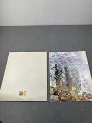 Lot Of 10 Oversized Classroom Teacher Big Books Easel Lionni Heller Carle