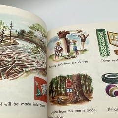 WHAT IS A TREE (The What Is It Series) by Gene Darby, Benfic Press, 1962