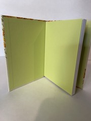 Ruth Chou Simons Fields of Joy (Hardback)