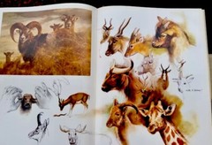 Noah’s Ark Rien Poortvliet First US Edition Abrams 1986 Illustrated HC Oversized