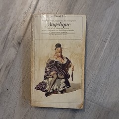 Angelique full series PB 1 – 9 complete lot Golon Bantam romance OOP French VTG