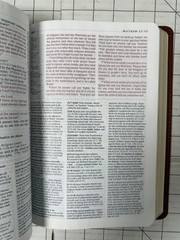 NLT Study Bible New Living Translation TuTone Brown & Tan LeatherLike Boxed EUC