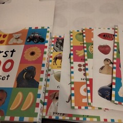 First 100 PB Box Set (5 Books) : First 100 Words; First 100 Animals; First…