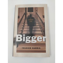 Yale University Press Hardcover Bigger A Literary Life African American Studies