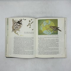 James Fisher & Roger Tory Peterson’s WORLD OF BIRDS Revised HC Cream DJ 192