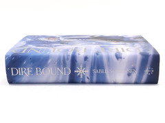 Dire Bound by Sable Sorensen FairyLoot Exclusive Edition – Hardcover Unsigned
