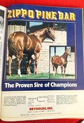 1979 Quarter Horse Journal, Book, STALLION EDITION! – KIDNAP BAR – ZAN PARR BAR