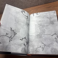 Brimstone (Deluxe Limited Edition) by Callie Hart (2025, Hardcover)