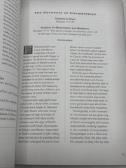 Genesis: Meditations on Moses’ Mosaic – Mark Driscoll Mars Hill Study