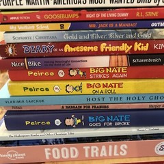 25 Unsorted Fiction Non Fiction Paperback / Hardback UNSORTED Mixed Book Lot
