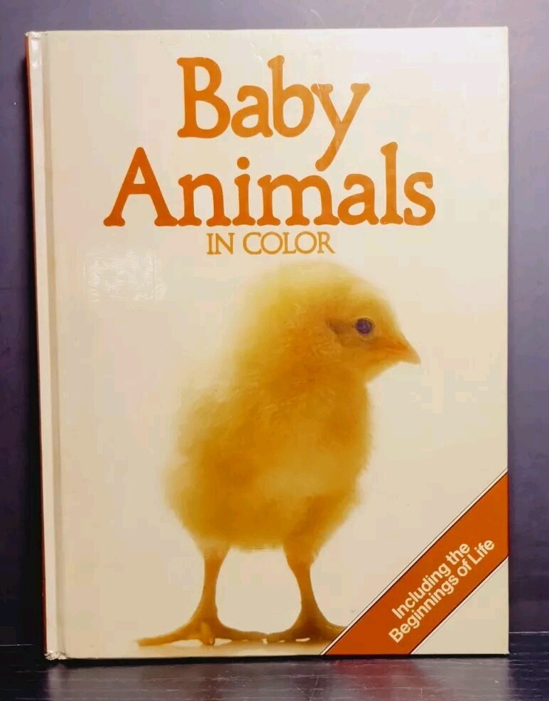 Baby Animals in Color Vintage 1980 Octopus Books Hardcover Children’s