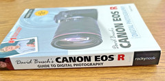 David Busch’s Canon EOS R Guide to Digital Photography by David D. Busch (2019,
