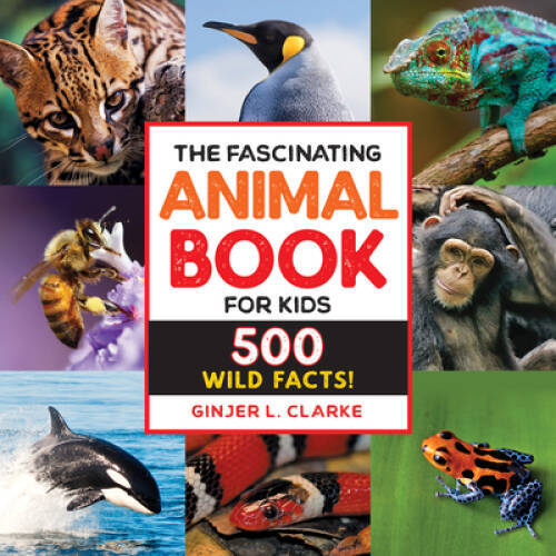 The Fascinating Animal Book for Kids: 500 Wild Facts! – Paperback – VERY GOOD