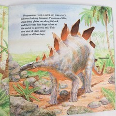 Lot of 2 Children’s Easy Reader Books: Animal Cousins & Dinosaurs