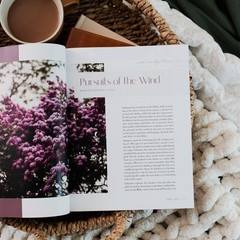 The Daily Grace Co Path to Purpose | A Bible Study on the Book of Ecclesiastes