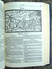 Poetical Wroks Of Edmund Spenser ~1950 Vintage HC~ Oxford Tudor England Classic