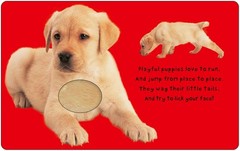 Bright Baby Touch & Feel Boxed Set: On the Farm, Baby Animals, At the Zoo ™
