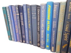 Books by the Foot by Color – Modern Decorative Hardcover Bundles for Shelf Style