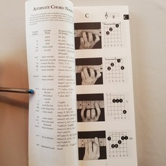 The Gig Bag Book of Guitar Picture Chords 1995 Amsco Publications Chart Diagrams