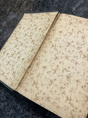 RARE 1891 BOOK OF MORMON 3RD ELECTROTYPE EDITION GEORGE Q CANNON & SONS HC LDS