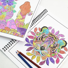 3 Pack Adult Stress Relief Coloring Book,60 Page Mandalas,Animal & Flower Patter