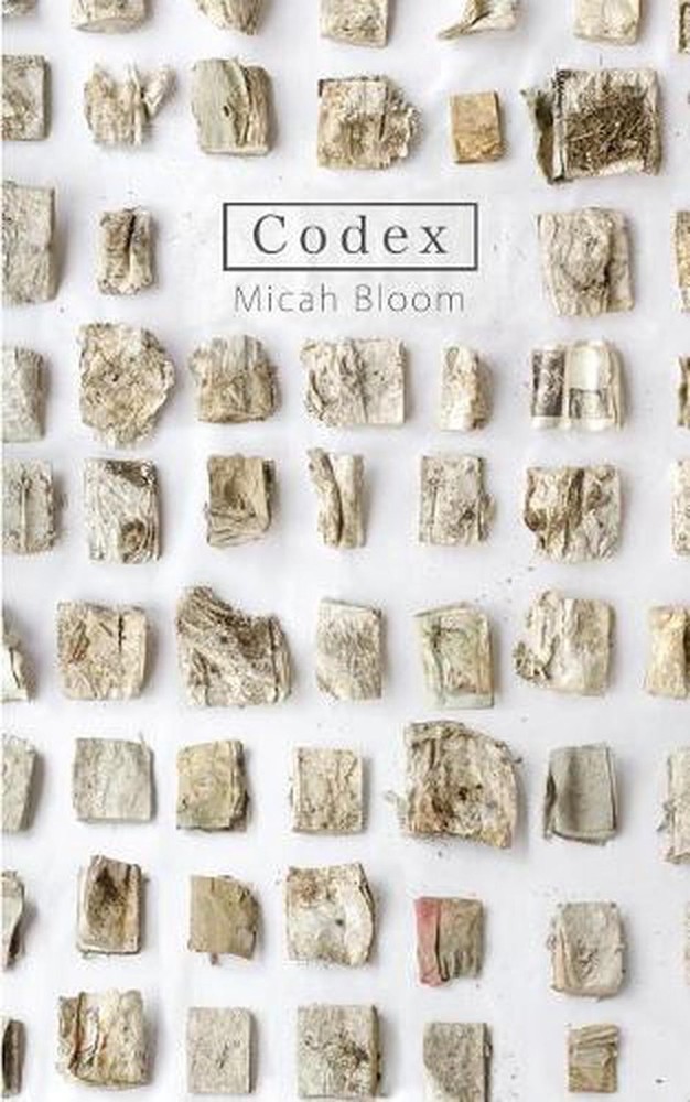 Codex by David Haeselin (English) Paperback Book