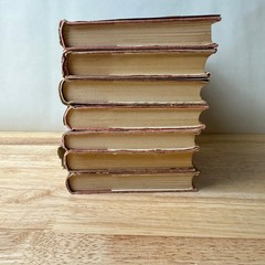 Rick Brant Series John Blaine 1940s Grosset & Dunlap 7 Books Set